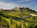 Vine views: Colline del Barolo, Vineyards and the village in Piedmont, Italy 