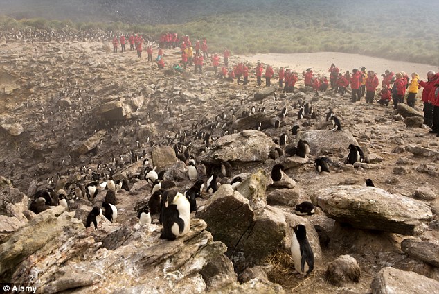 Cruise ships with stops at Falklands' capital Stanley are the biggest single provider of tourism to the islands