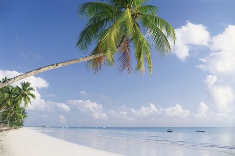 best honeymoon destinations  honeymoon destination yearround