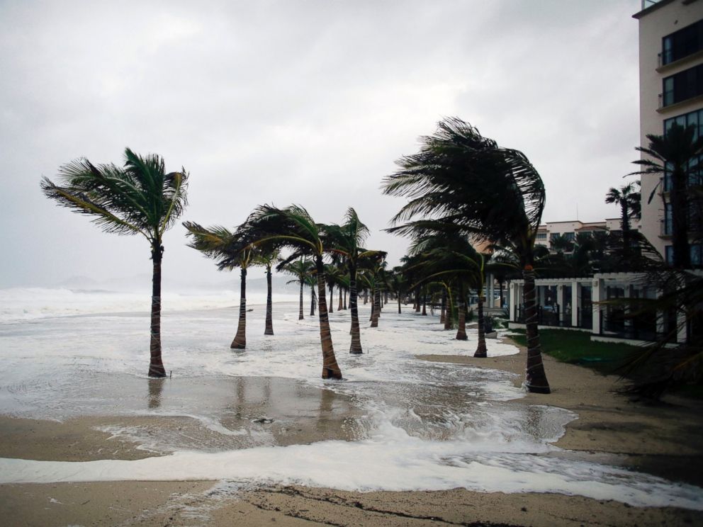 PHOTO: Winds blow palm trees on the beach in Los Cabos, Mexico, Sept. 14, 2014.