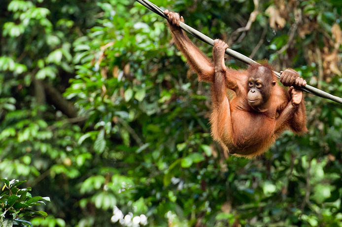 All images by Rebecca Yale Photography. www.RebeccaYalePhotography.com