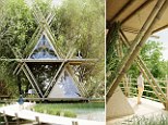 Bamboo treehouse