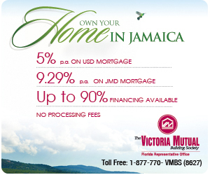 VMBS home_florida_300x250