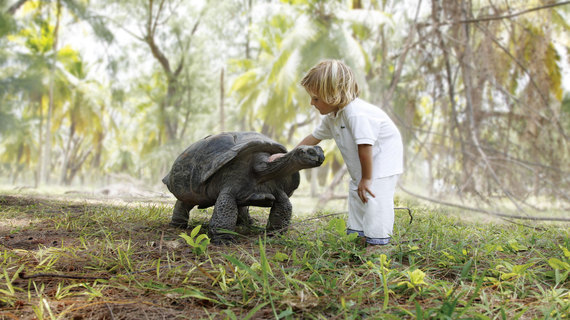 2014-07-30-childtortoiseMLP.jpg