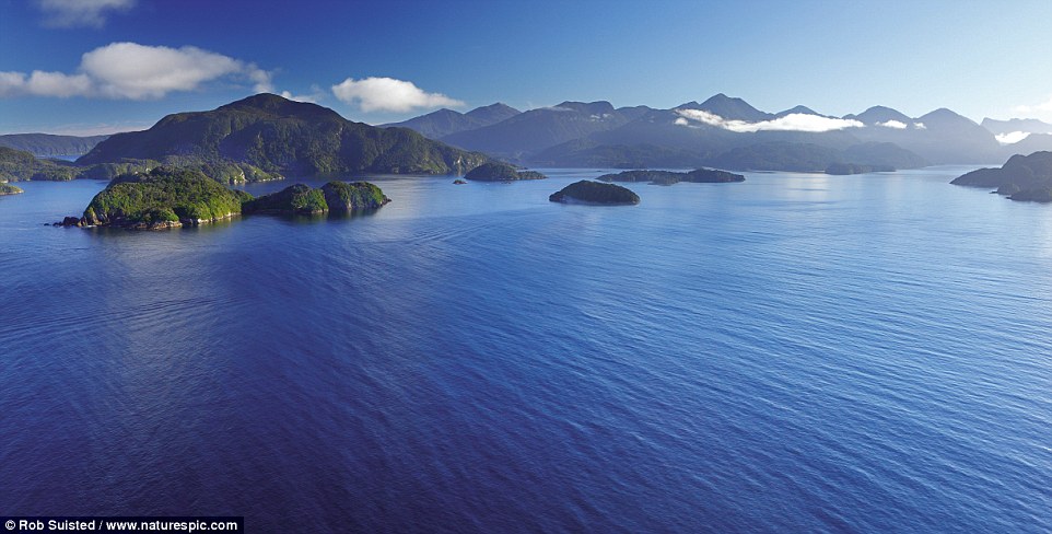 Experience the vast beauty of New Zealand as you sail round its picturesque shores providing the perfect photo opportunity