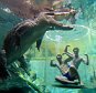PIC FROM CATERS COPY - (PICTURED: Customers are able to get very close to the crocodiles ) - A theme park is offering holiday SNAPS with a difference after letting its visitors come face-to-face with a deadly five metre crocodile. Pictured underwater, plucky tourists are offered the chance to swim with the huge predator coming within inches of its huge jaws. But luckily, thanks to a nine foot high, acrylic container, known as the Cage of Death, thrill-seekers can rest assure that they wont be gobbled up anytime soon. SEE CATERS COPY.