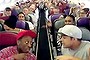 Lion King Virgin Australia