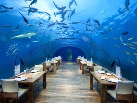 CN_thaaundersea01_2_700x525_FitToBoxSmallDimension_Center.jpg
