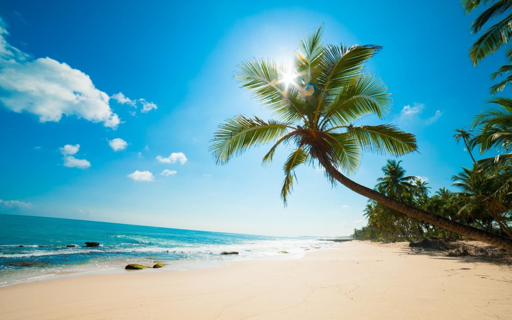 The One Reason You Should Travel To The Caribbean This Winter