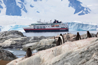 MS Fram navigates near Antartica's Half Moon Island, observed by a colony of Gentoo penguins. Photo / iStock