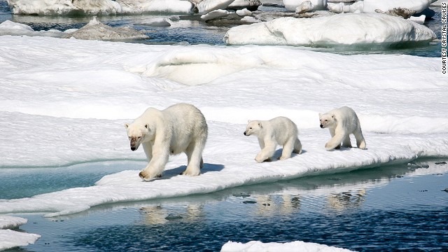 To fulfill all your Arctic fantasies, Crystal Cruises will be offering a 32-day Northwest passage cruise from Alaska to new York, via Nunavut, Greenland and the fjords of Baffin Island on the Crystal Serenity.