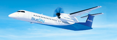 bluesky airlines