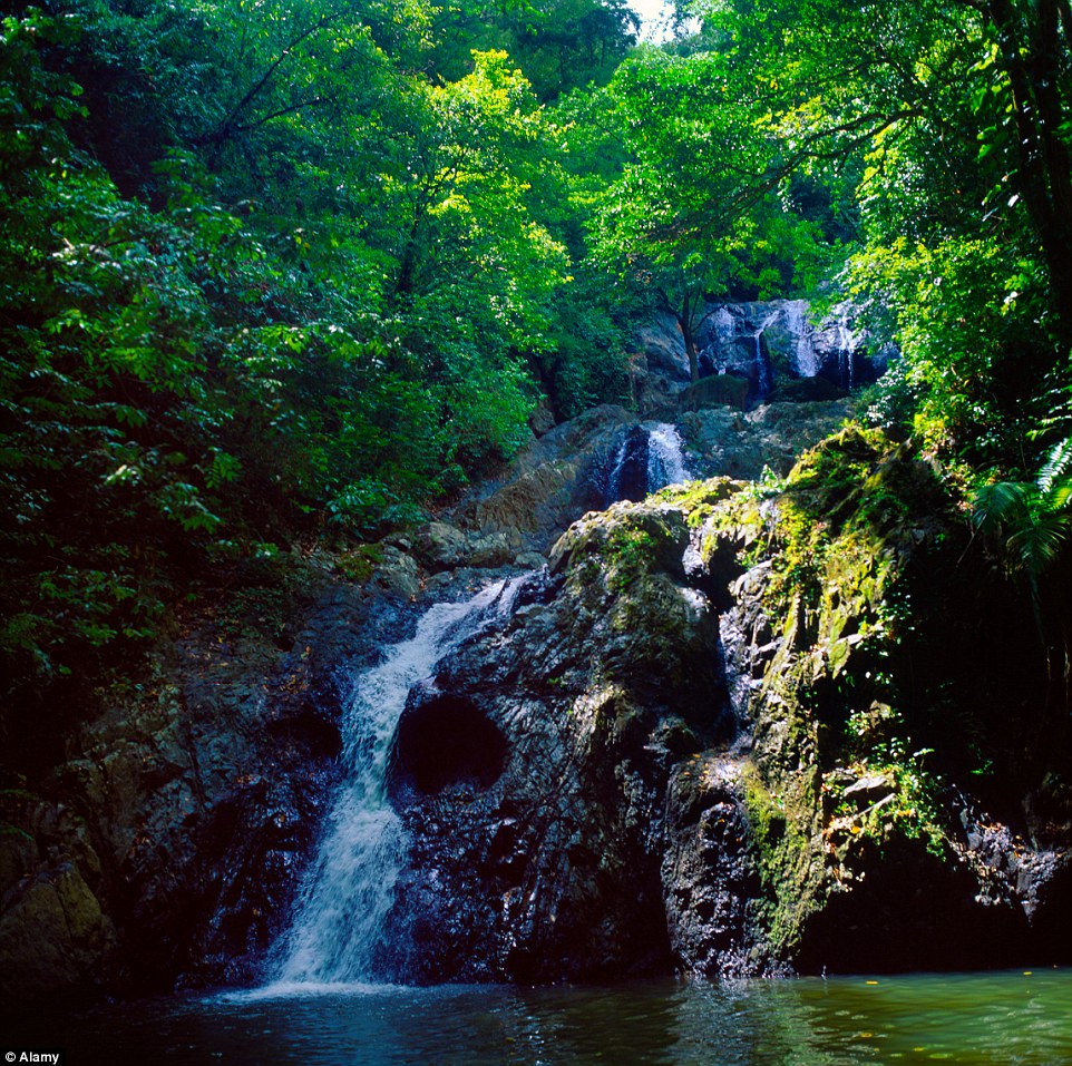 Enticing: Tobago¿s geology provides ready refreshment stations, with a good selection of waterfalls, such as Argyle (pictured) and Castara, under which to soak