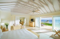 Elbow beach Bird of Paradise suite.jpg