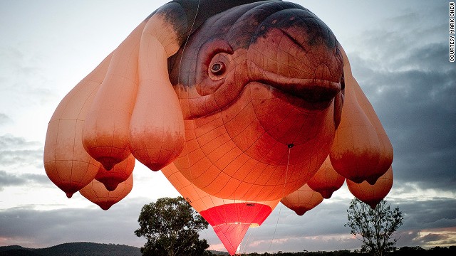 The Skywhale, a curiously designed 34-meter-long hot air balloon, was commissioned by Canberra as part of its 2013 centenary celebrations. One observer called it a whale with a deformed scrotum.