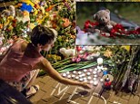 MH17