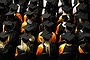 Graduation thumbnail