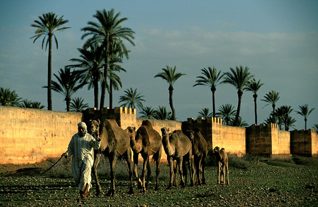 Secluded: The new Royal Palm hotel is 12 miles from the Red City and 'a fabulous place to fly and flop'