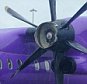 The propeller on a Flybe plane which was disabled by a birdstrike. The plane is seen here landed at Birmingham. See SWNS story SWBIRD: A passenger plane lost one of its propellers in a bird strike on take-off - but continued with the rest of the hour-long flight on just ONE engine. The Flybe service had just left Guernsey for Birmingham when startled passengers heard a bang on the left side. They looked out and saw the front cone of the prop had been smashed and the blades were slowing to a halt. But to their alarm the captain announced that instead of turning round the plane would be carrying on with the single remaining engine.