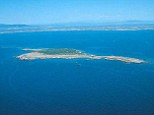 Blue paradise? The Isola di Mal Ventre is one of the few private islands for sale in the Mediterranean