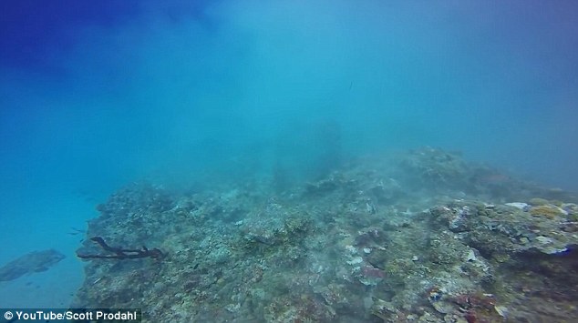 Prodahl called it ‘another sad day for the reefs’ of Grand Cayman and urged greater protection
