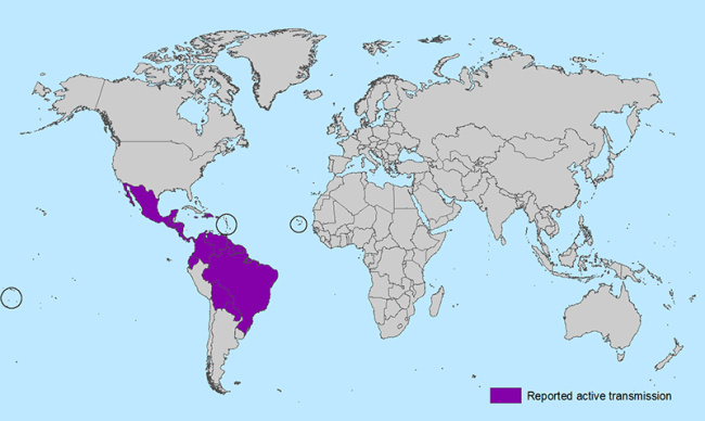Map from the Centers for Disease Control and Prevention highlights countries where the Zika virus has spread.