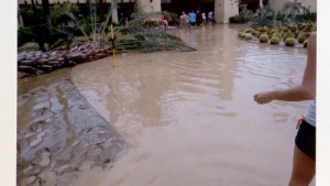 sarah-andrew-hillier-mexico