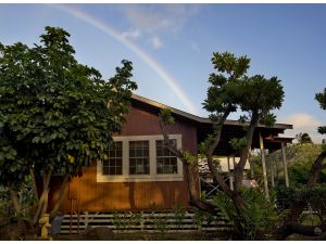 Article Tab: cottages-plantation-waime