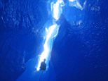 Pic By HotSpot Media - GLACIER ICE CLIMBING - IN PIC - Climber Jason Nelson manoeuvres through Mendenhall Glacier in Juneau, Alaska. - COURAGEOUS climbers descend 400 metres as they manoeuvre their way through thick walls of ice. The ice emits a blue glow as the climbers make their way down and move through the glacier. The stunning photographs were captured by American glacier trekking guide Jared Carlson on a trip to the Mendenhall Glacier in Juneau, Alaska. The 36-year-old was joined by climbing friend Jason Nelson, 37, as the pair explored the moulin, which is a circular, vertical well-like shaft within a glacier....SEE HOTSPOT MEDIA COPY 0121 551 1004