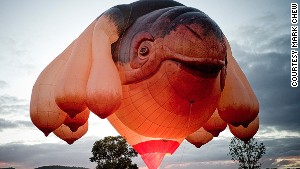 Nice try, Australia, but we still prefer koalas.