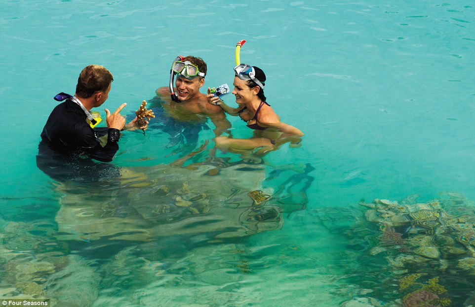 For those looking for adventure, a 120-minute, marine biologist-led snorkelling experience costs about $700 (£448) per couple