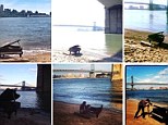 Hashtag art? Instagram users have been posting stylish snaps of a mystery waterlogged piano discovered underneath Brooklyn Bridge