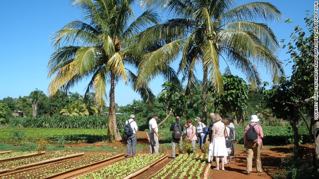 You could find yourself taking in a traditional hog roast with a Cuban farming family, touring the orchards of fruit farmers in Ciego de Avila or chatting with workers at the sharp end of the Cuban economy.