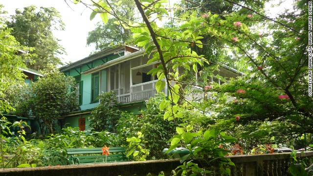 Knowledgeable guides at this nature center amid dense rainforest and mangrove swamps, can help you identify more than 400 species, including scarlet ibises, toucans, parrots, yellow orioles and the rare oilbird.