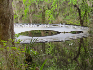 Magnolia Plantation, Charleston (credit: Randy Yagi)