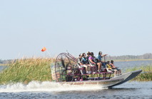 Alligator Cove Airboat Nature Tours