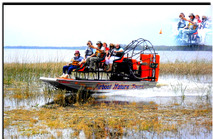 Alligator's Unlimited  Airboat Nature Tours