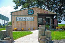 Wild Willy's Airboat Tours