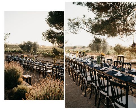 welcome dinner decor