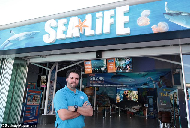 Sydney Aquarium manager Richard Pussell was carrying out a routine check of lost property on Tuesday when he found the card