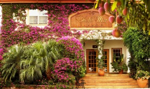 Destination Travel Magazine Features Belizes Award Winning Chabil Mar Resort Chabil Mar 300x178 Destination Travel Magazine Features Belizes Award Winning Chabil Mar Resort