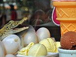 Unusual treat: The ice cream by Sweet Spot eatery in Davao City in the Philippines is made with crocodile eggs