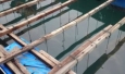 Halong Bay pearl farm