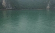 Halong Bay pearl farm