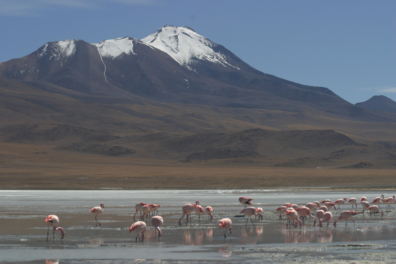 2016-02-09-1455033262-9791866-JourneyLatinAmericaBoliviaUyuniSaltFlats.PhotobySarahBeard.JPG