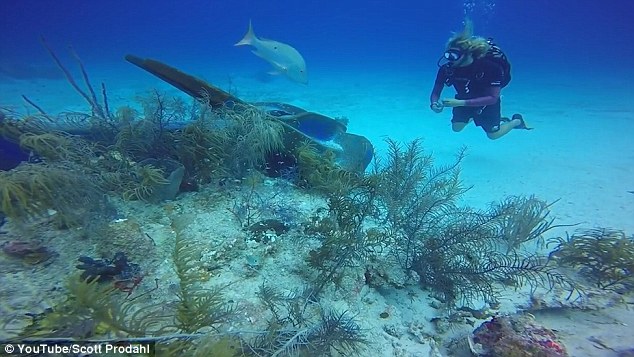 Scott Prodahl and other divers inspected the anchor after they noticed the ship was 'oddly close' to the reef