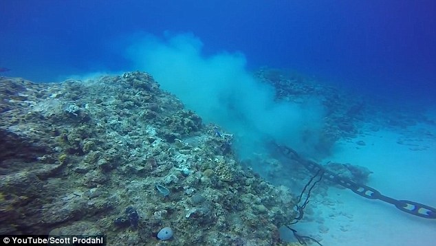 Prodahl's footage shows the anchor's chain moving back and forth, breaking off pieces of the reef