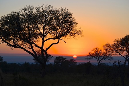 2014-07-29-MAIN_TintswaloSunset.jpg