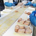 Poultry Meat Processing