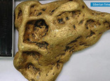 Huge Chunk of Gold Unearthed